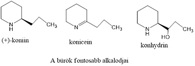 burok.jpg